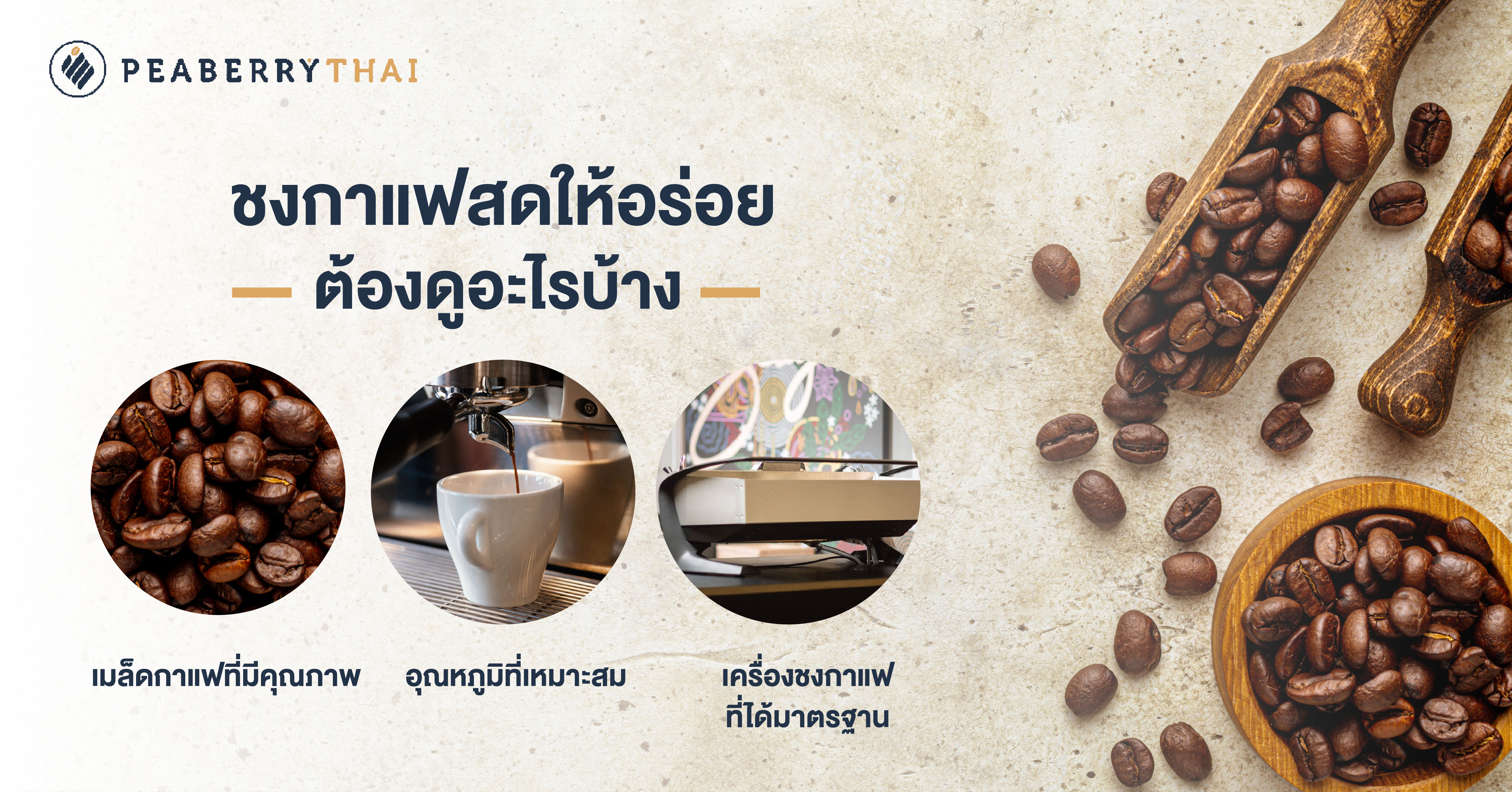 ชงกาแฟสดให้อร่อย ต้องดูอะไรบ้าง