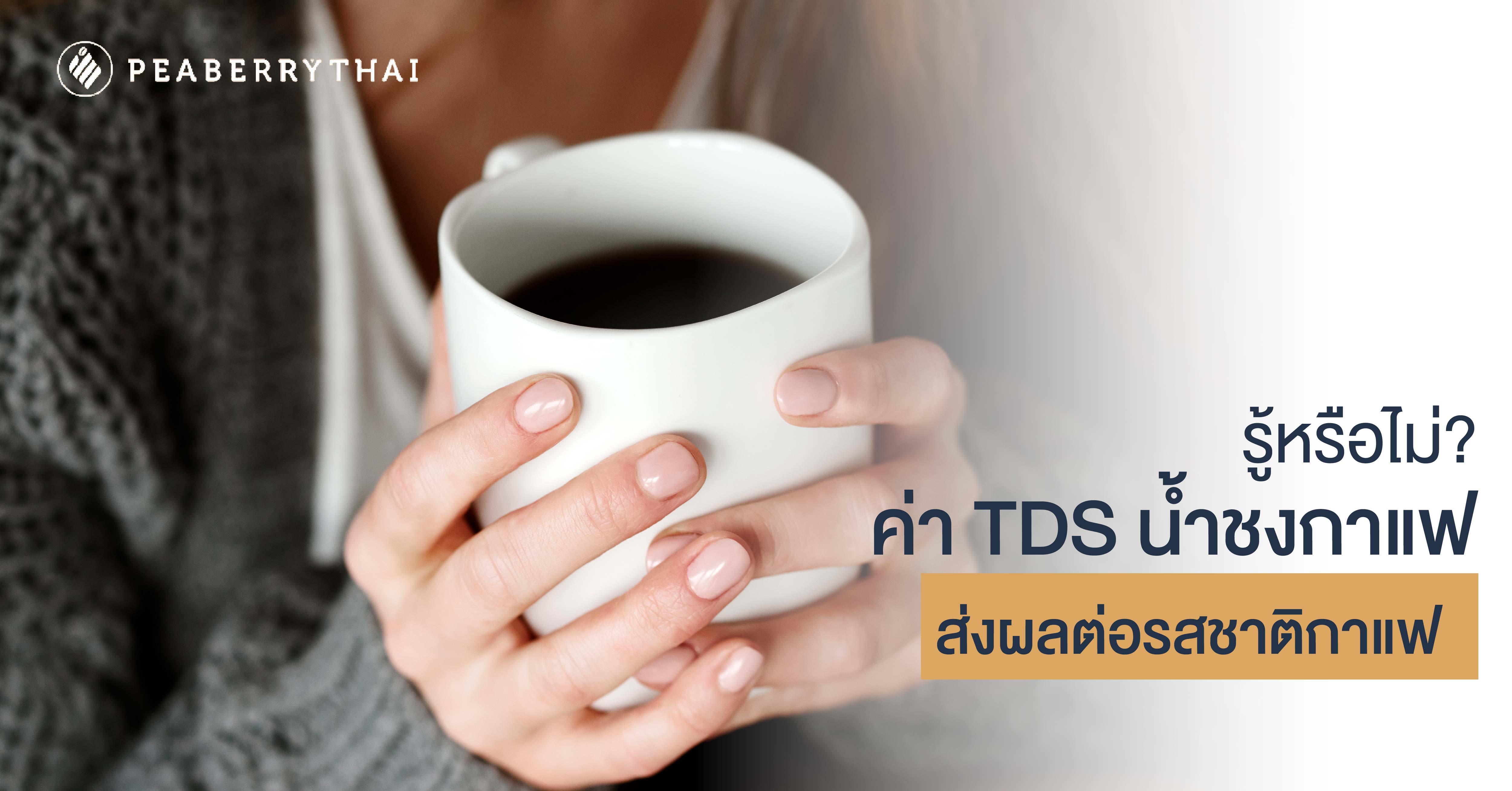 รู้หรือไม่? ค่า TDS น้ำชงกาแฟ ส่งผลต่อรสชาติกาแฟ