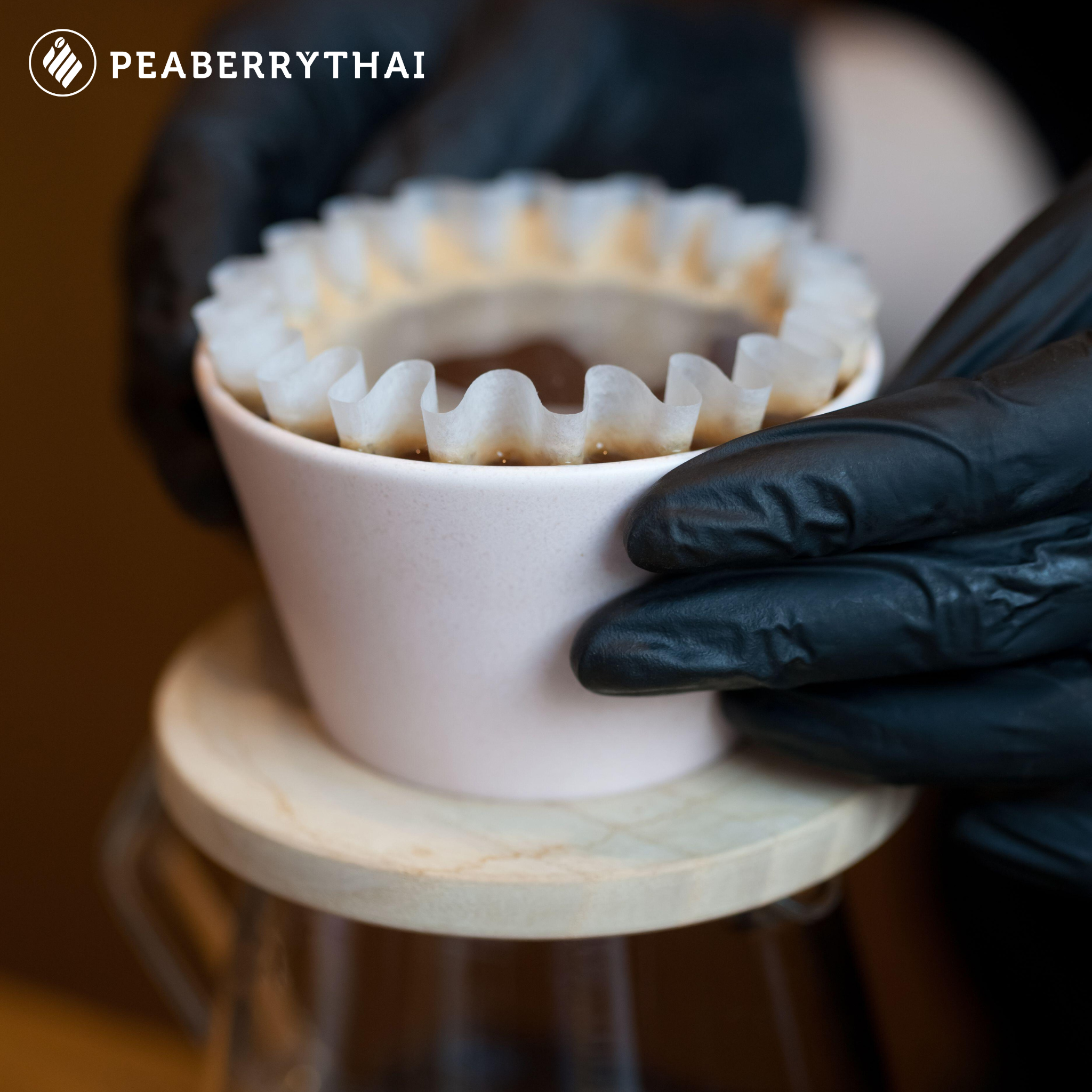 กระดาษกรองสำหรับ Kalita