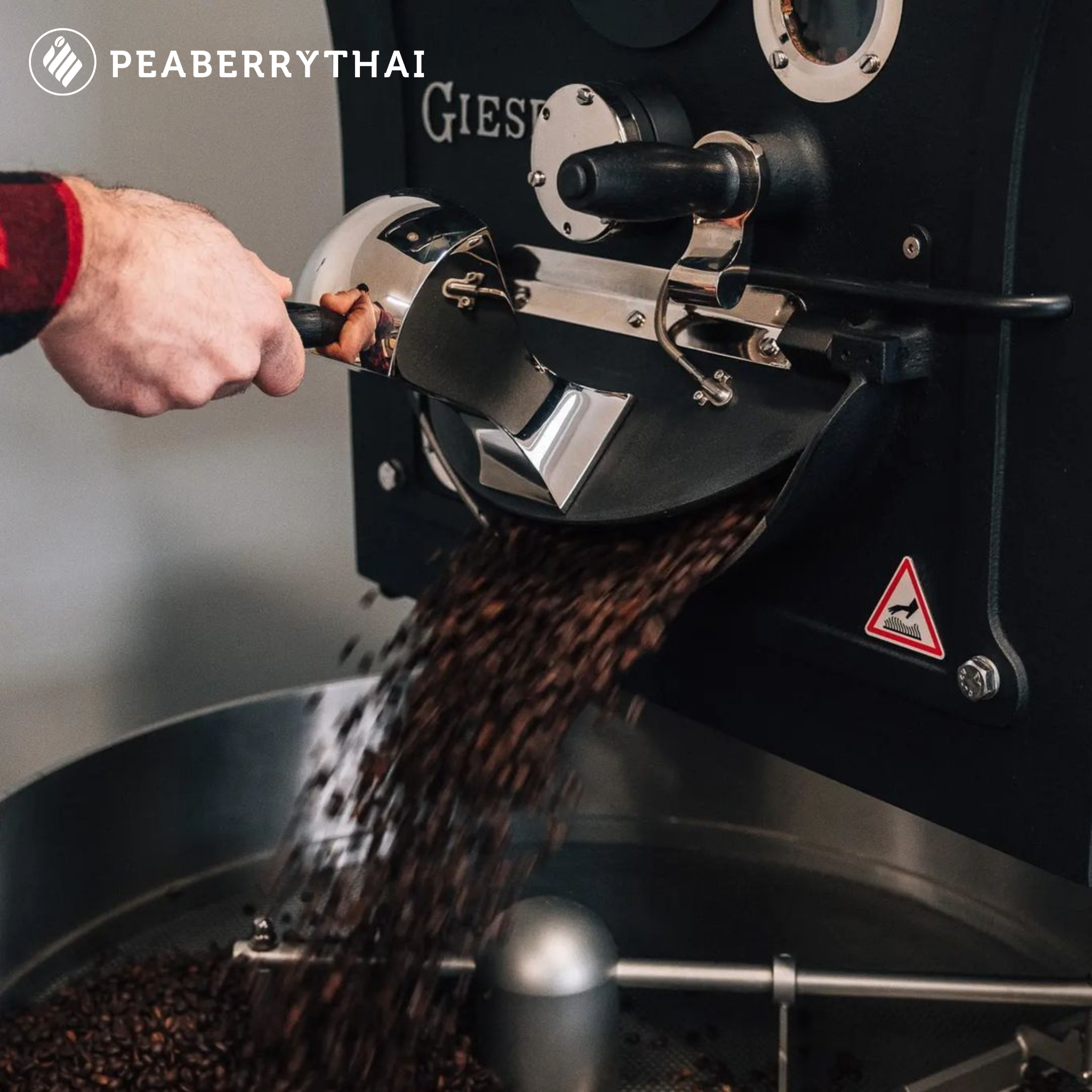 การคั่ว (Roasting) ศาสตร์แห่งการปลุกชีวิตในเมล็ดกาแฟ