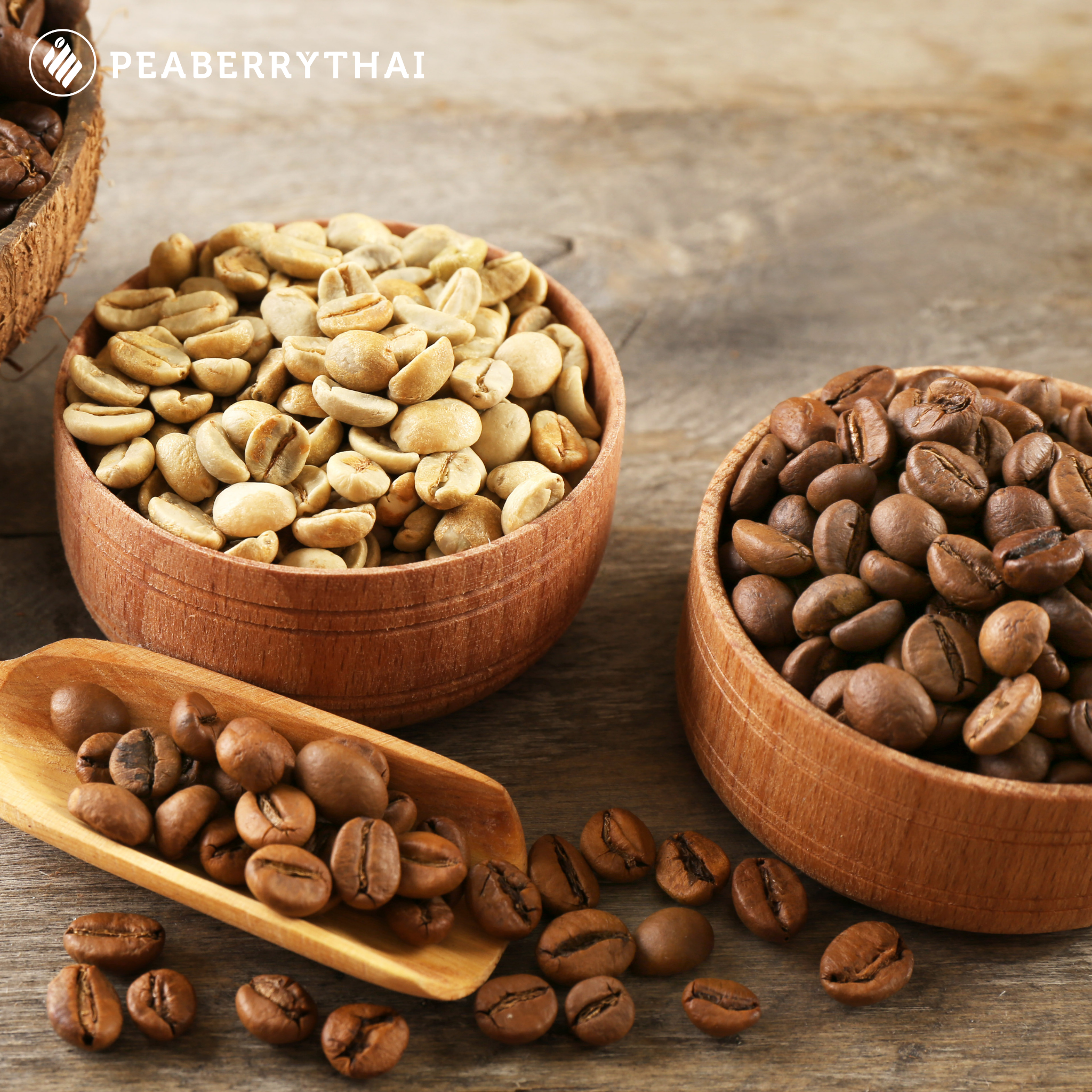 กาแฟคั่วอ่อนต่างจากกาแฟคั่วกลางและคั่วเข้มอย่างไร