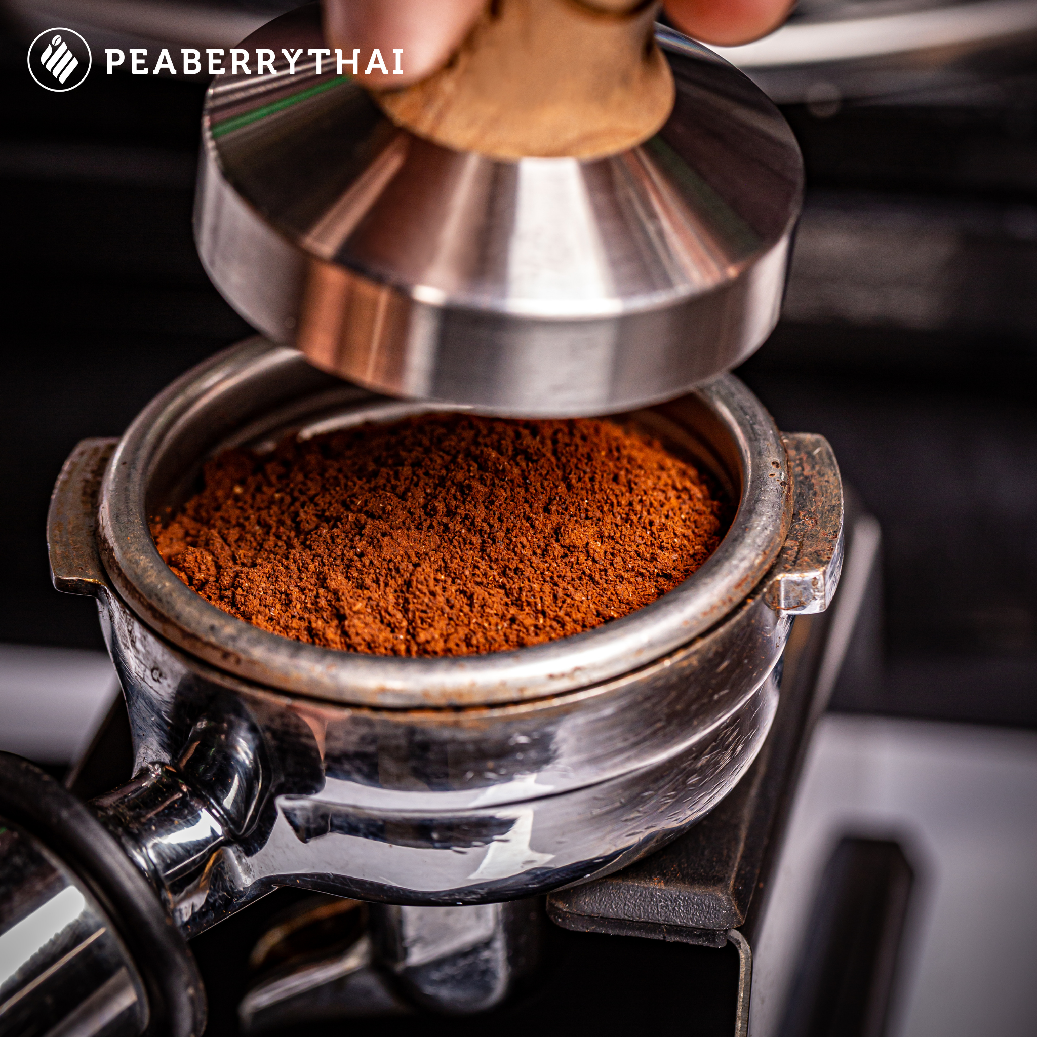 ขั้นตอนการทำ Espresso Perfect Shot (Step-by-Step)