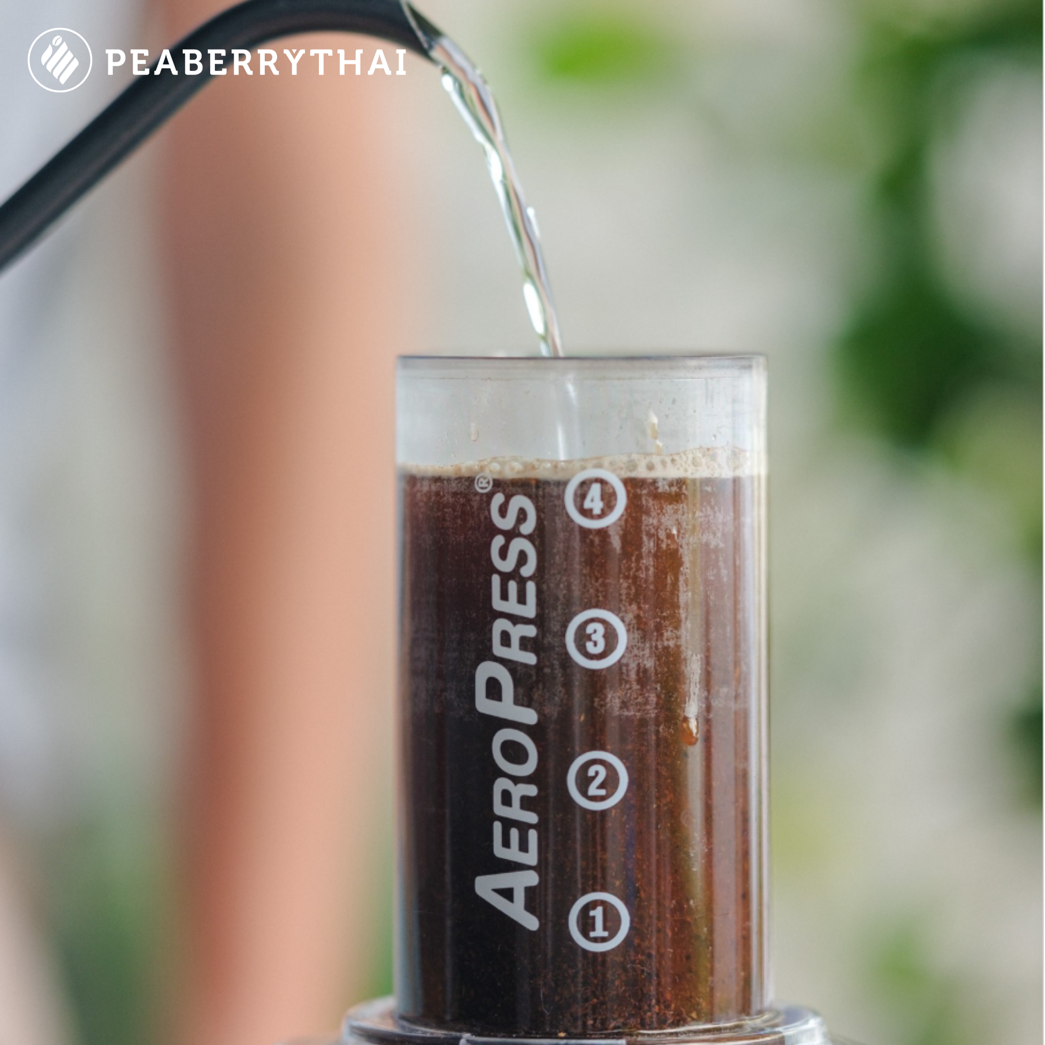 ความแตกต่างระหว่าง “ดริปเปอร์”, “Aeropress” และ “Kalita”