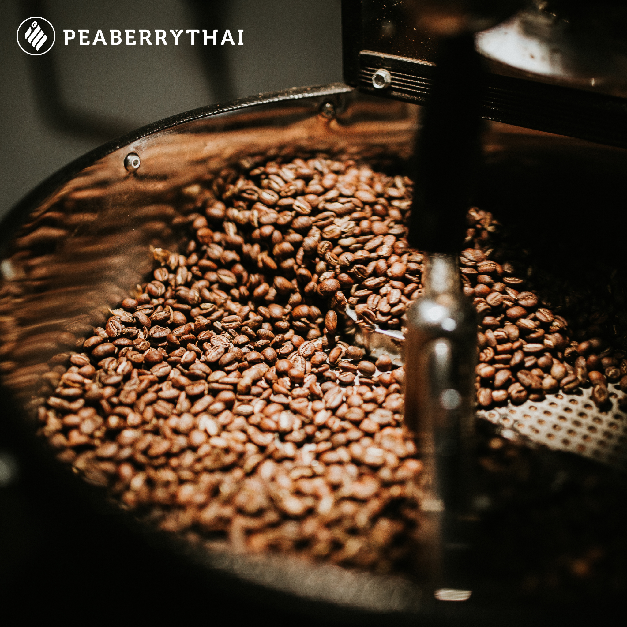 ทำไมเครื่องคั่วถึงสำคัญใน Specialty Coffee?