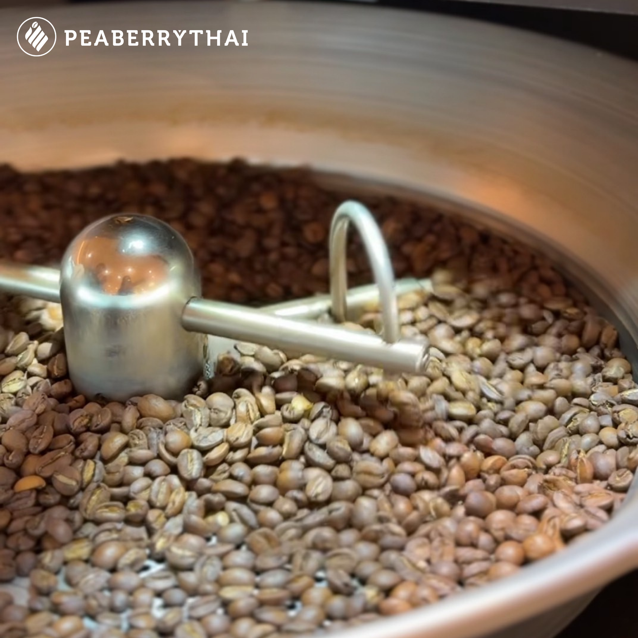 ประโยชน์ของเทคโนโลยี Giesen ต่อวงการกาแฟ