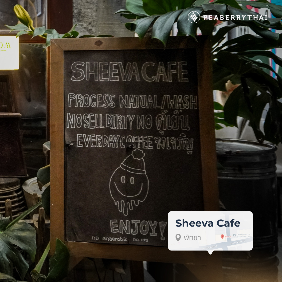 พิกัด Sheeva Cafe พัทยา