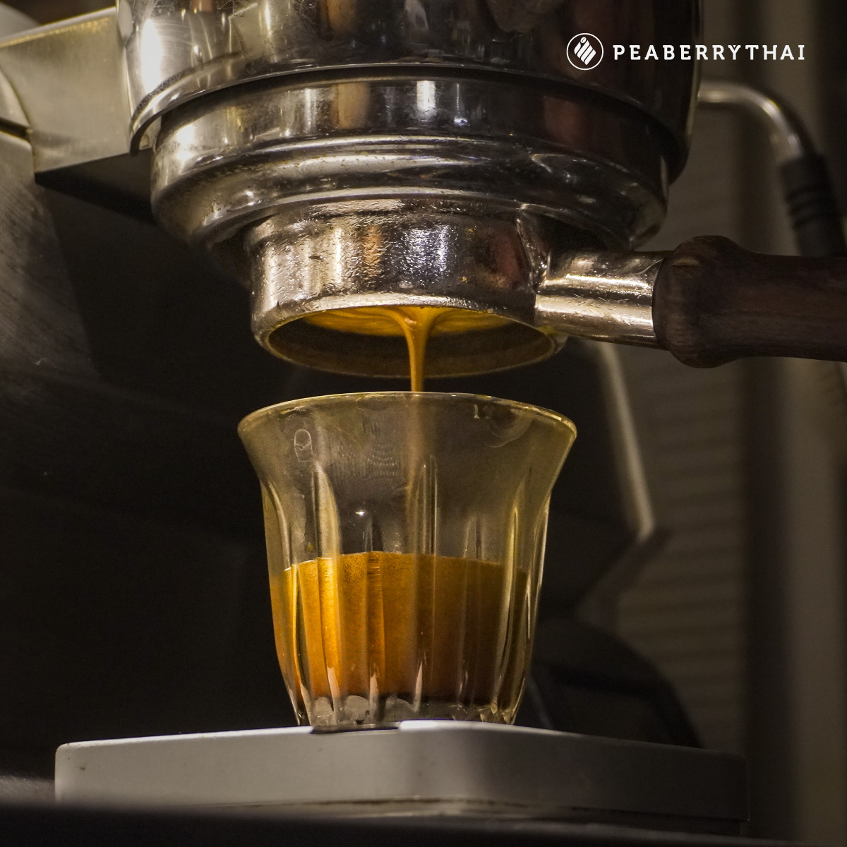 กาแฟแก้วหลักสิบ คุณภาพหลักล้าน