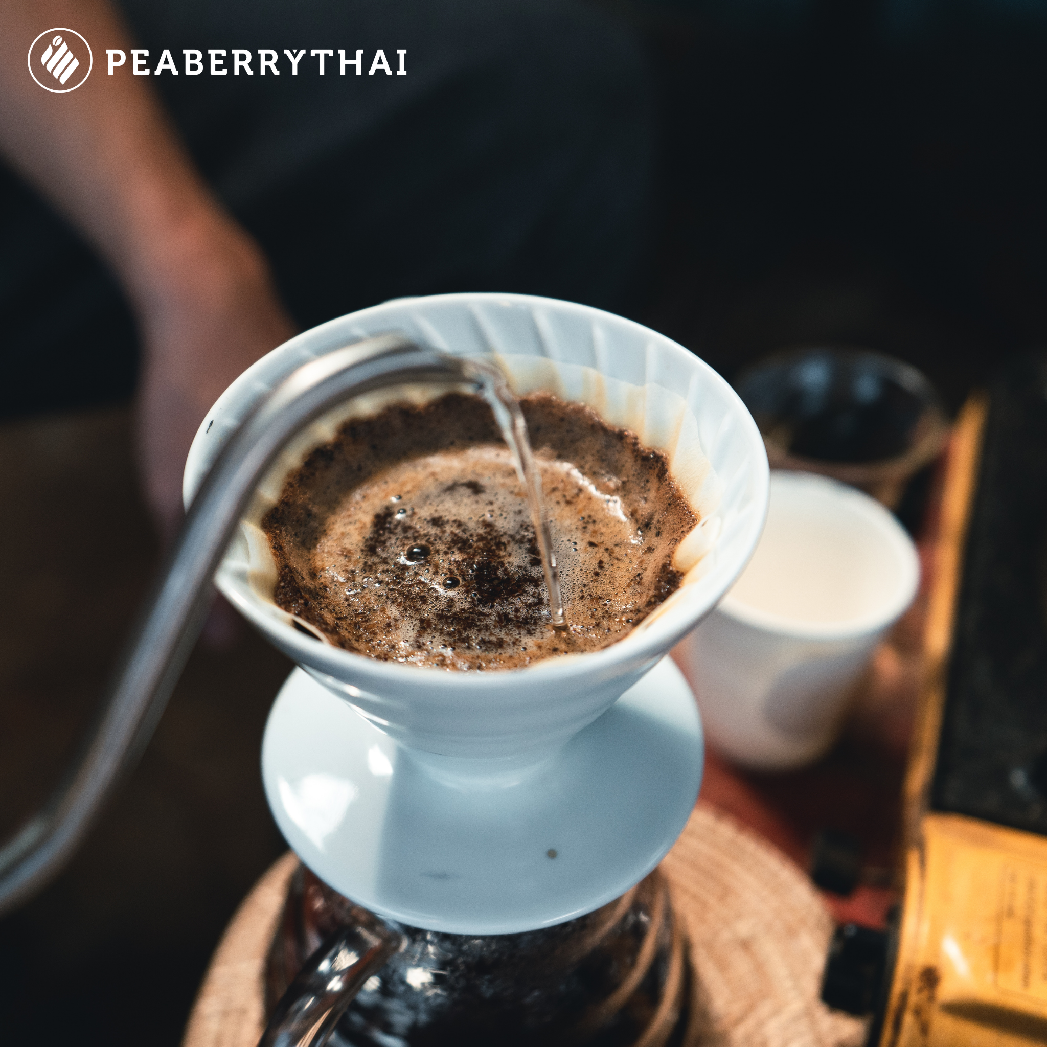 หน้าที่หลักของกระดาษกรองกาแฟ