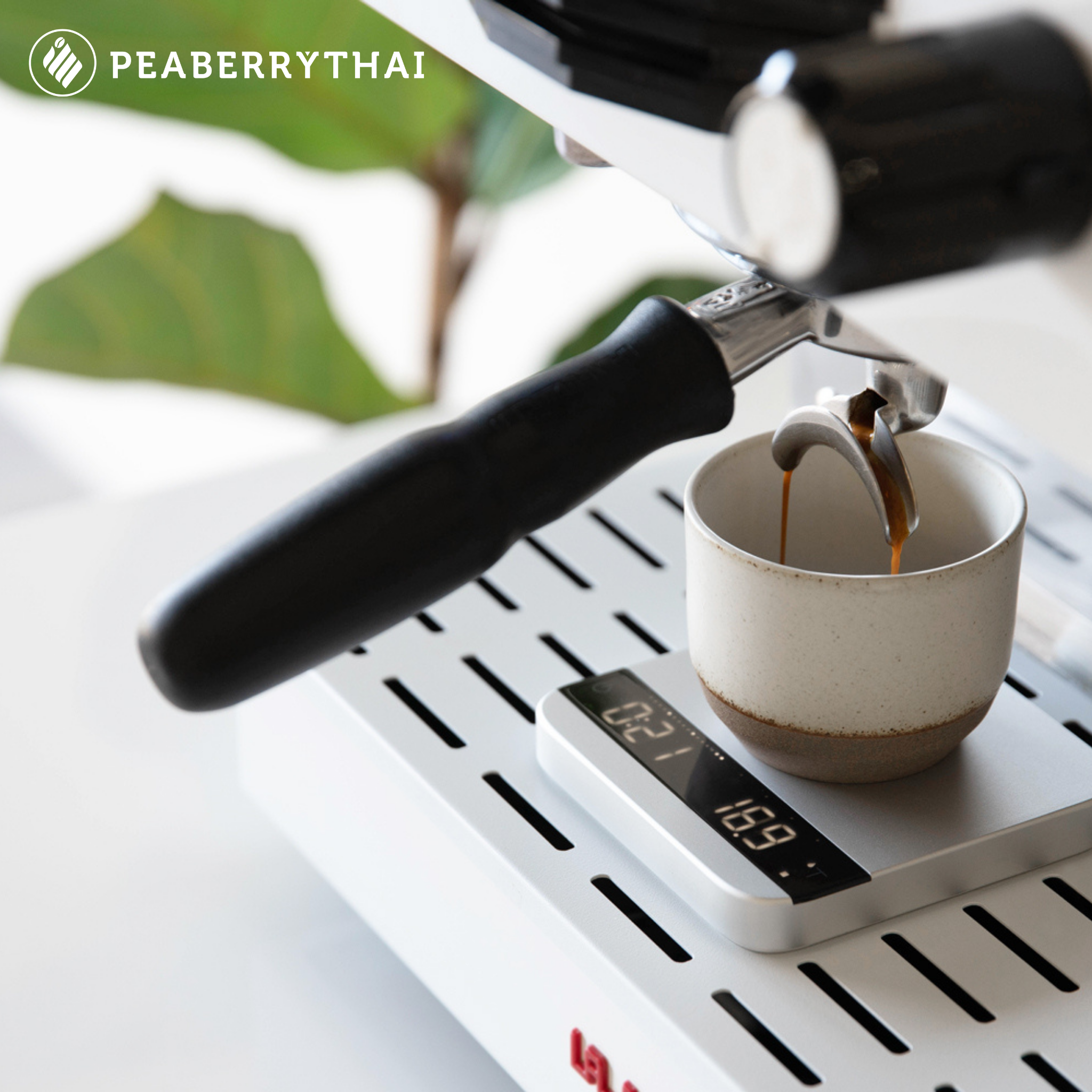 เครื่องชั่ง Acaia