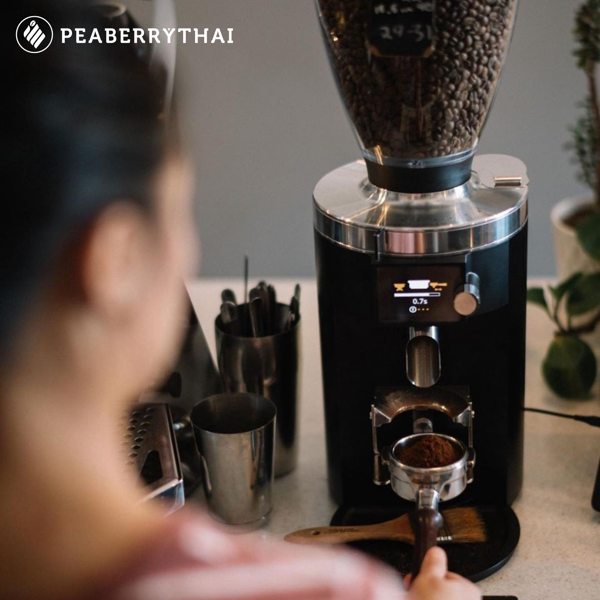 เครื่องบดเมล็ดกาแฟ (Coffee Grinder)