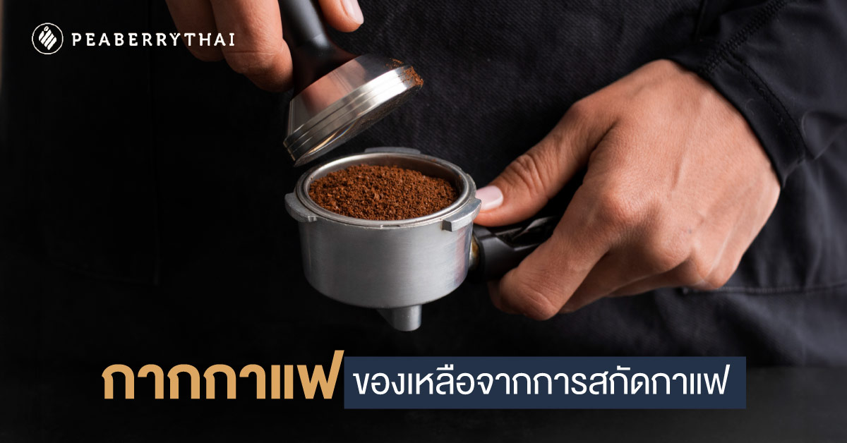 กากกาแฟ ของเหลือจากการสกัดกาแฟ