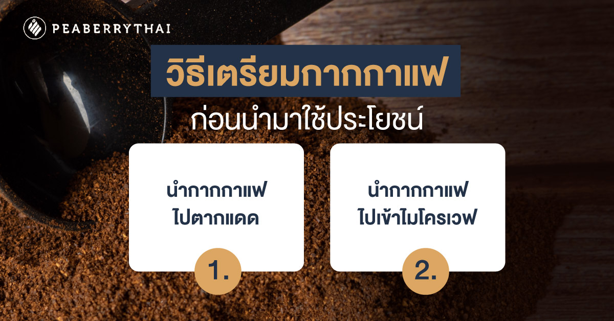 วิธีเตรียมกากกาแฟก่อนนำมาใช้ประโยชน์