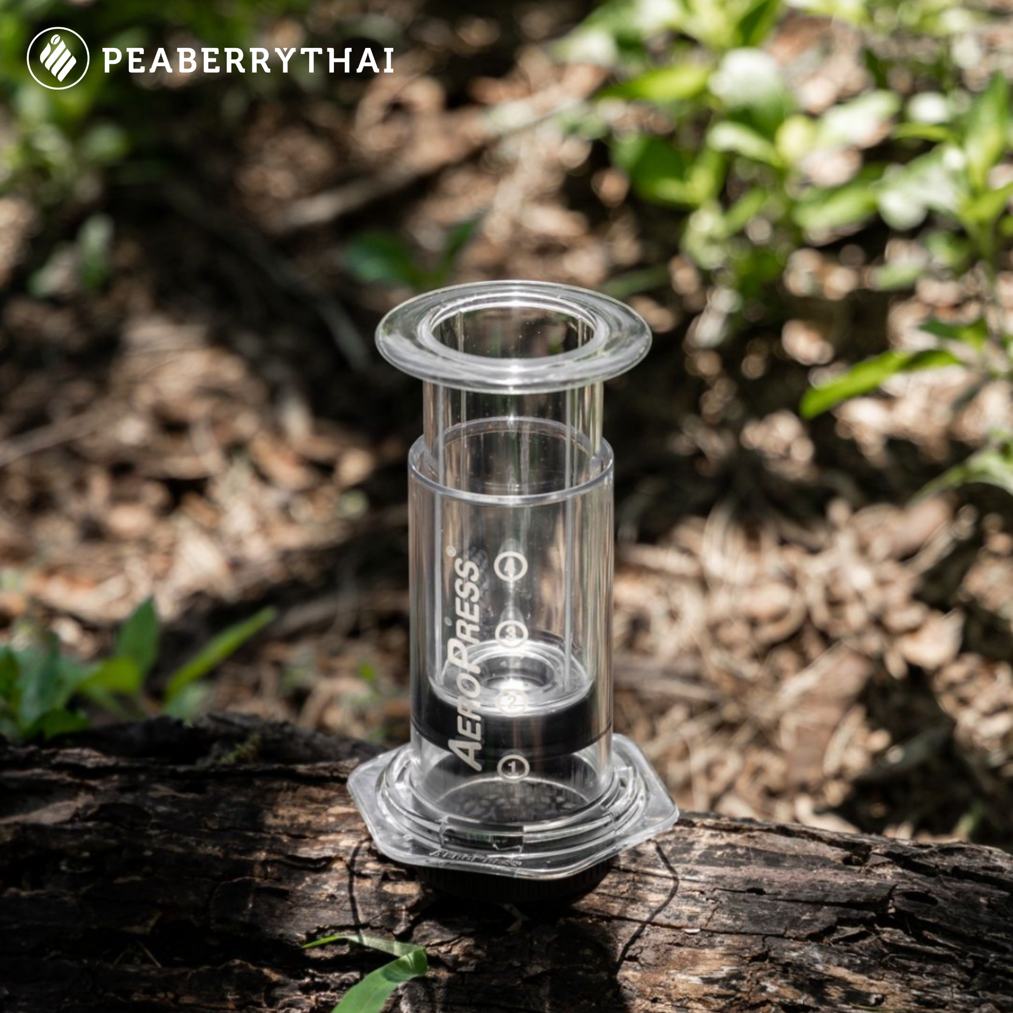 aeropress, แอโรเพลส