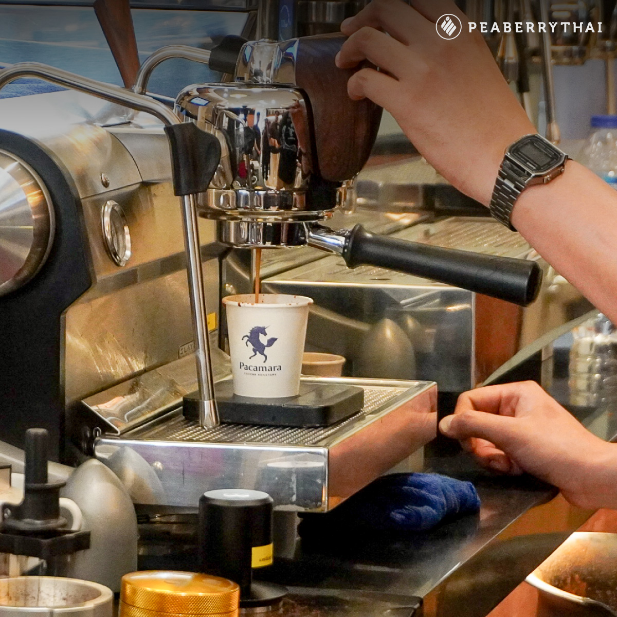 Peaberrythai มากกว่าผู้จำหน่ายเครื่องชงกาแฟ