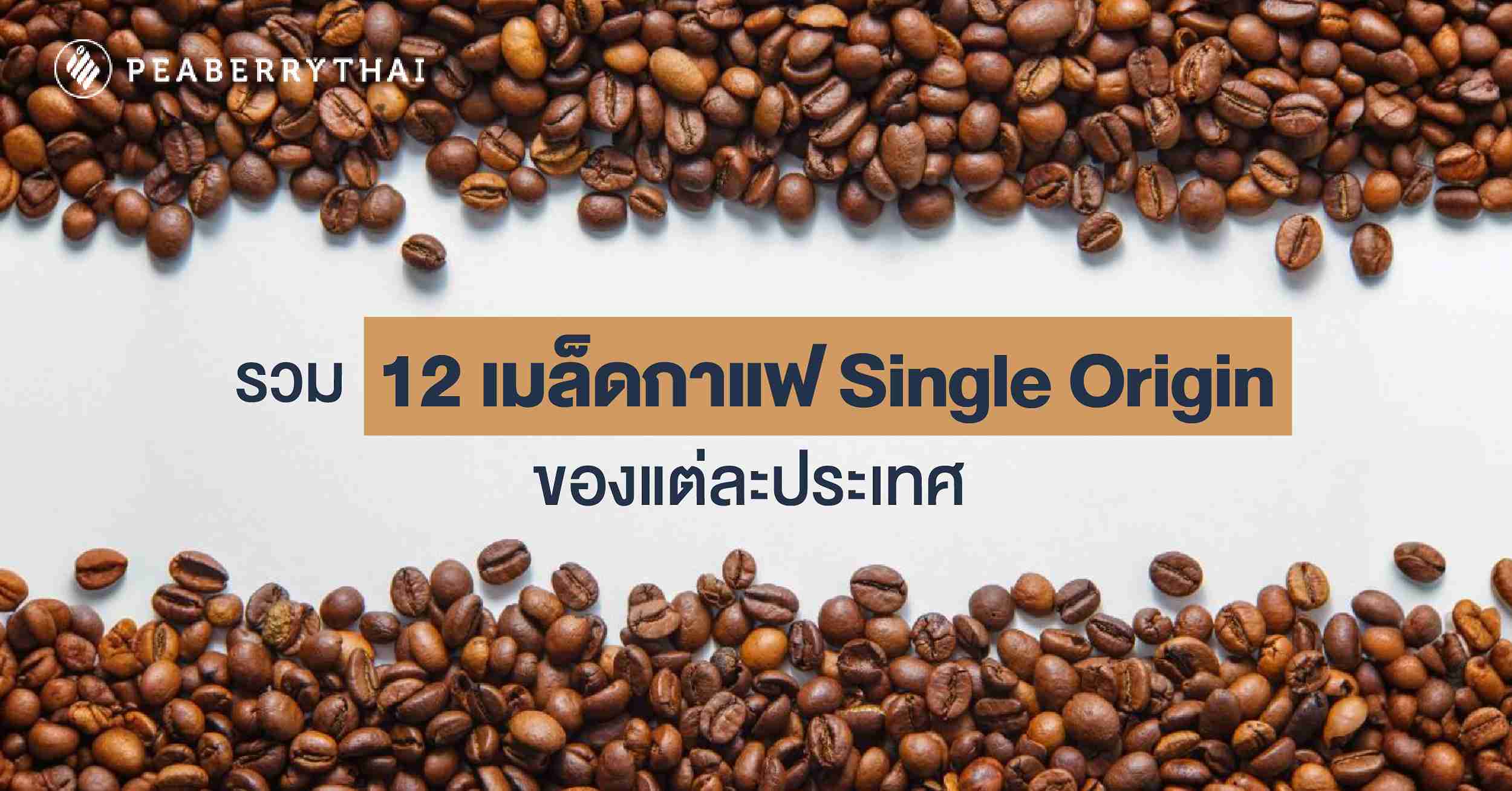 รวม 12 เมล็ดกาแฟ Single Origin ของแต่ละประเทศ