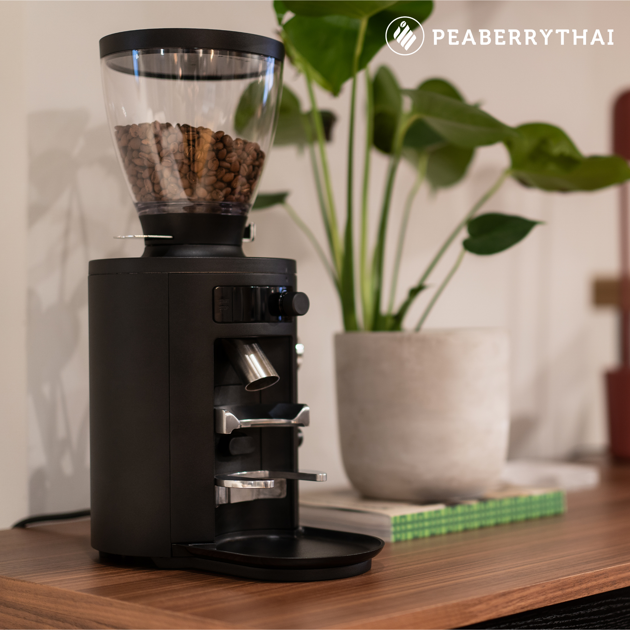 เครื่องบดบ้านทั่วไป vs Home Grinder ระดับ Specialty