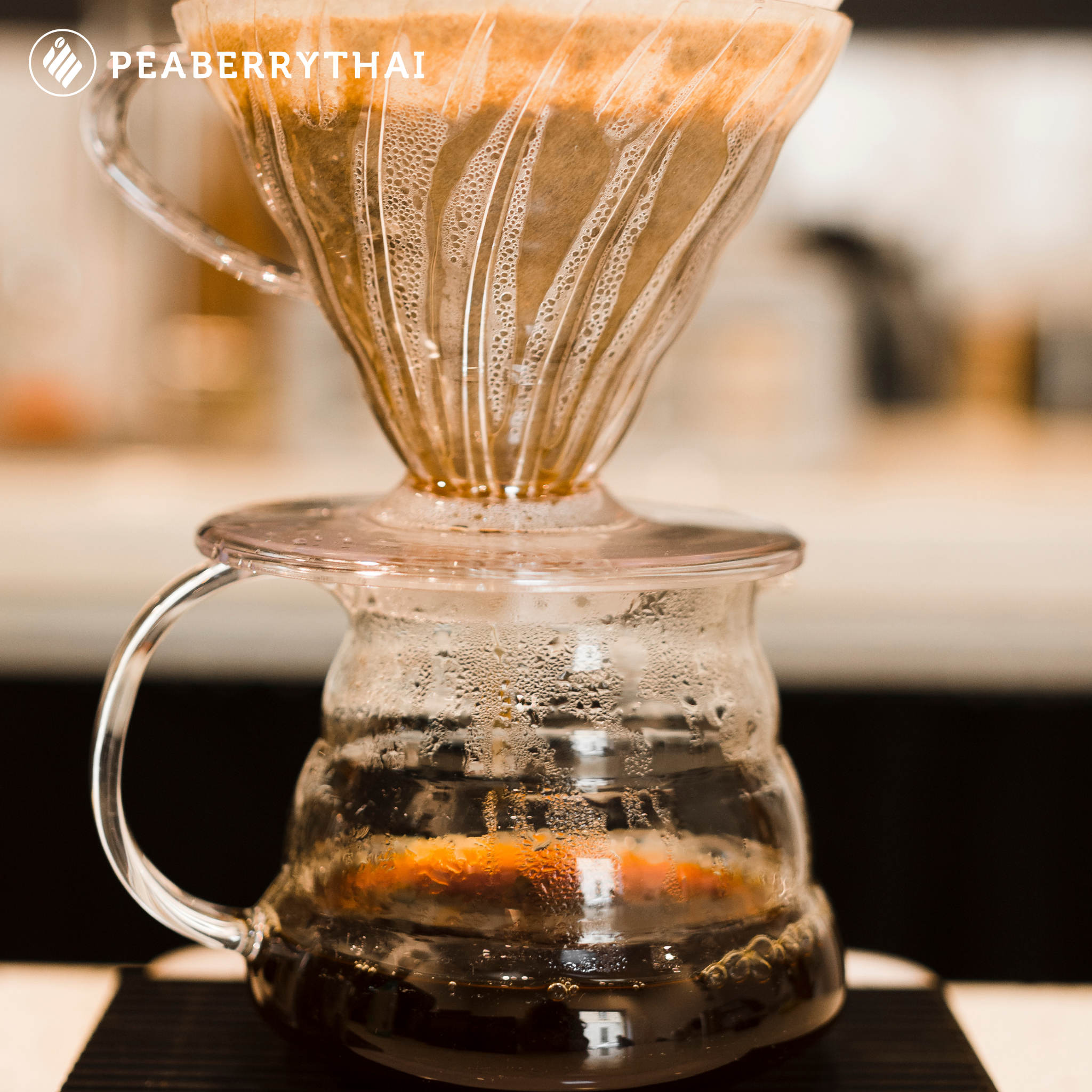 Kalita ในบริบทของกาแฟดริป