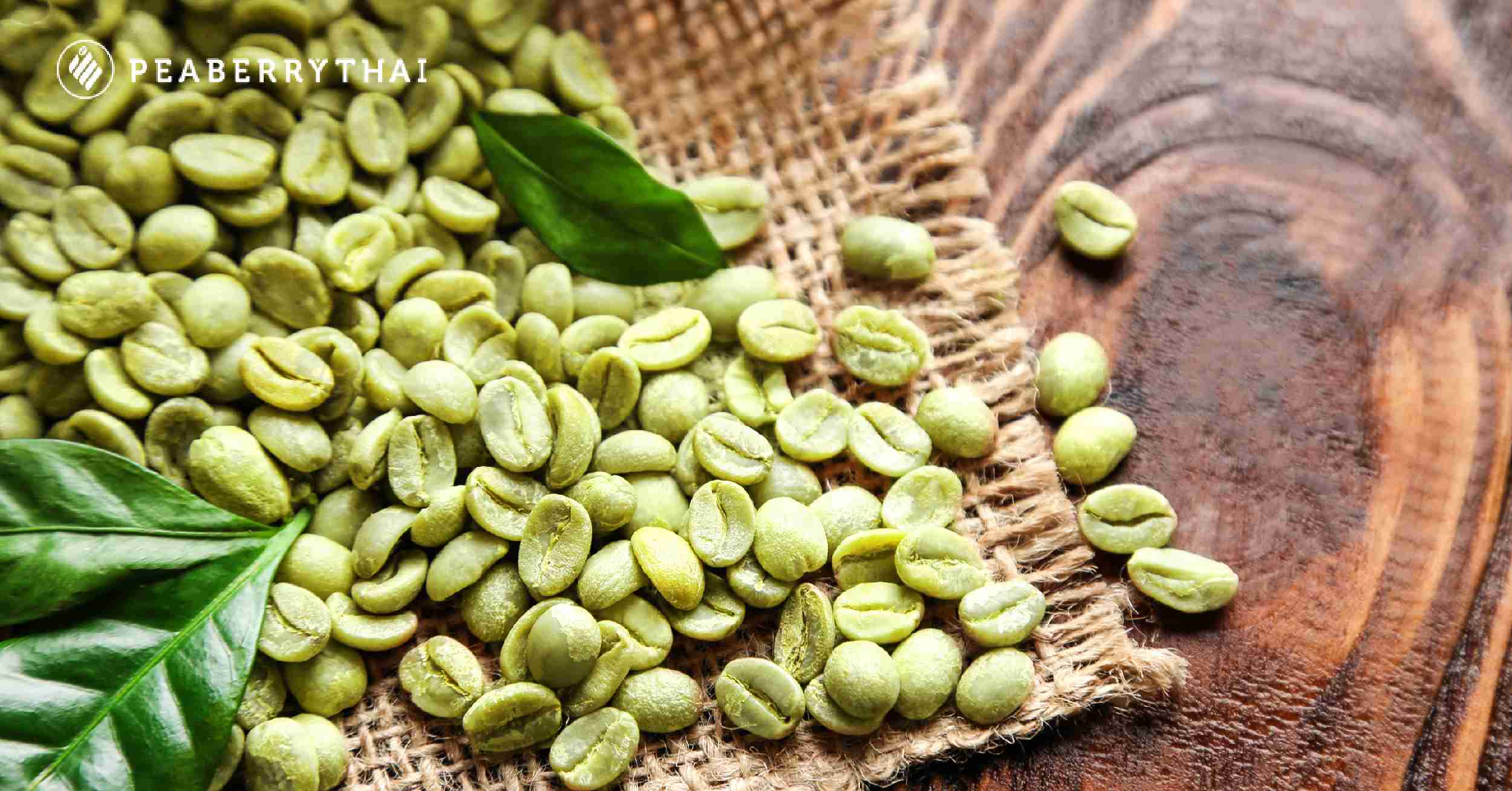 Green Coffee Bean เมล็ดกาแฟก่อนการแปรรูป