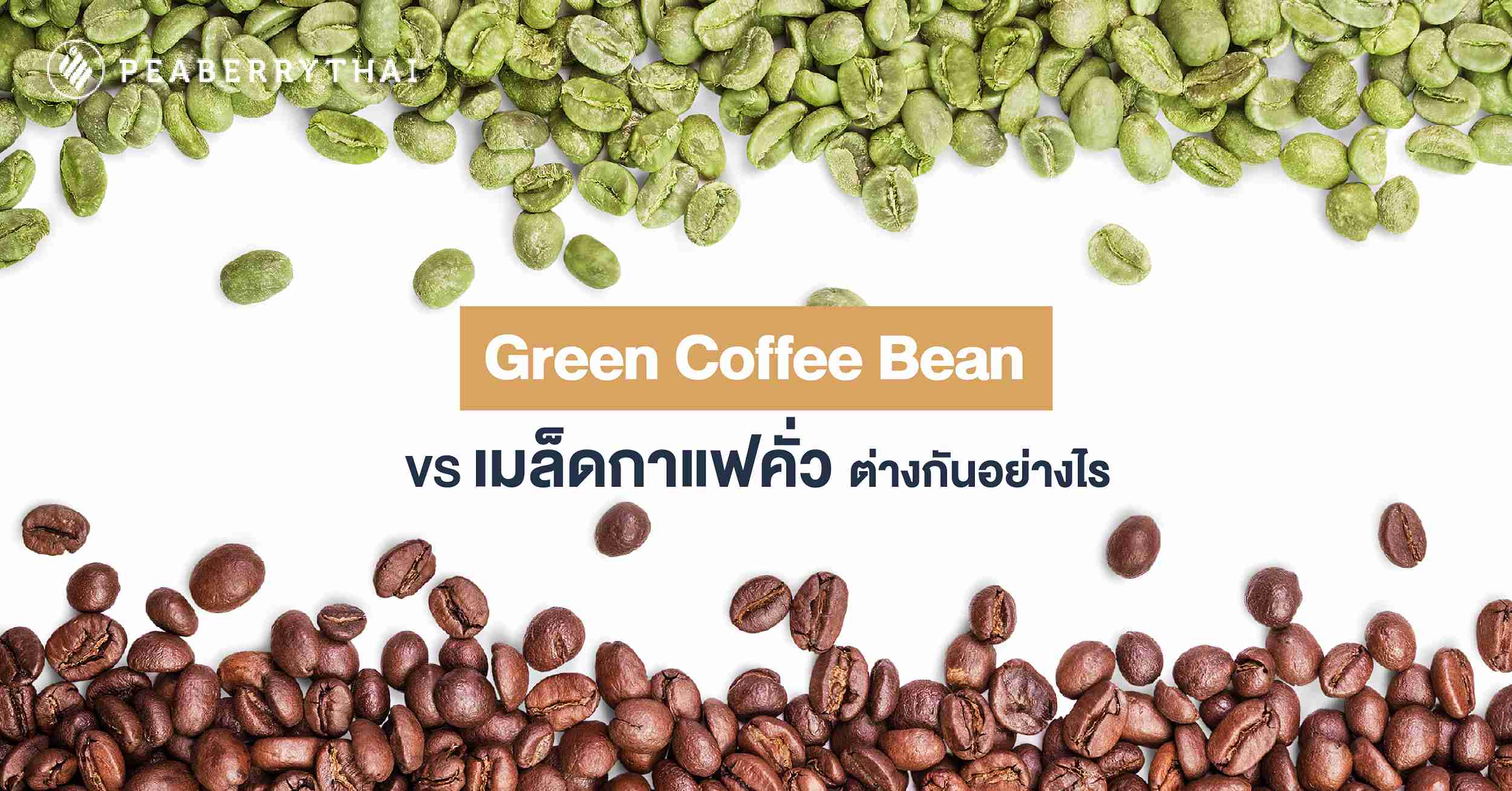 Green Coffee Bean VS เมล็ดกาแฟคั่ว ต่างกันอย่างไร