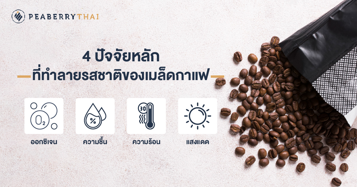 4 ปัจจัยหลัก ที่ทำลายรสชาติของเมล็ดกาแฟ