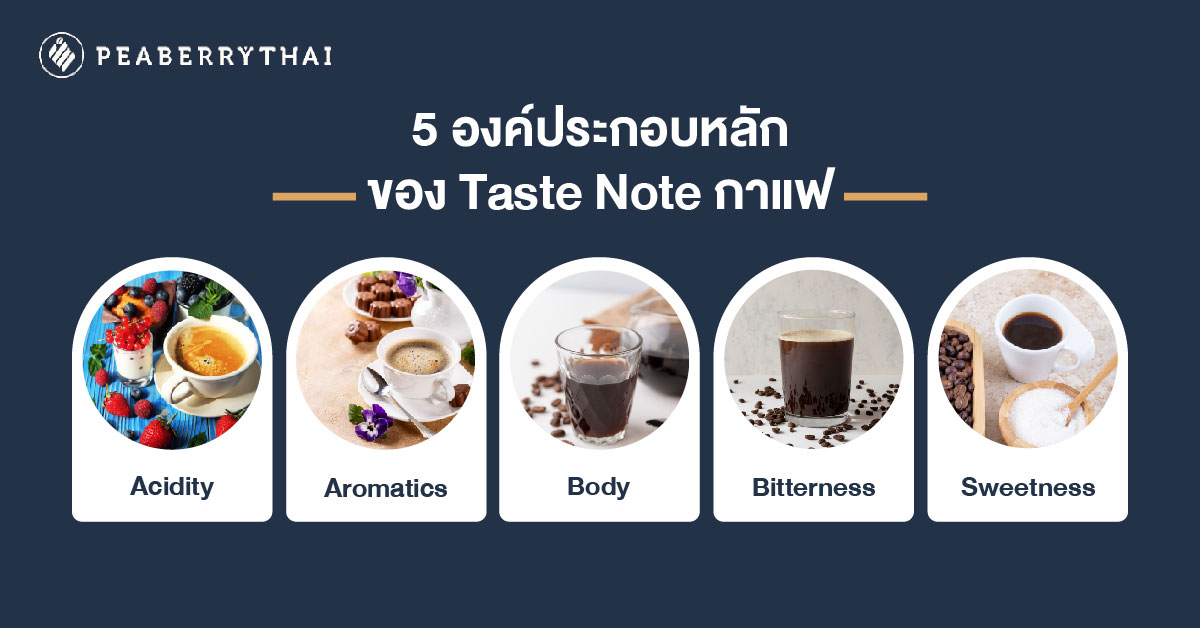 5 องค์ประกอบหลักของ Taste Note กาแฟ 