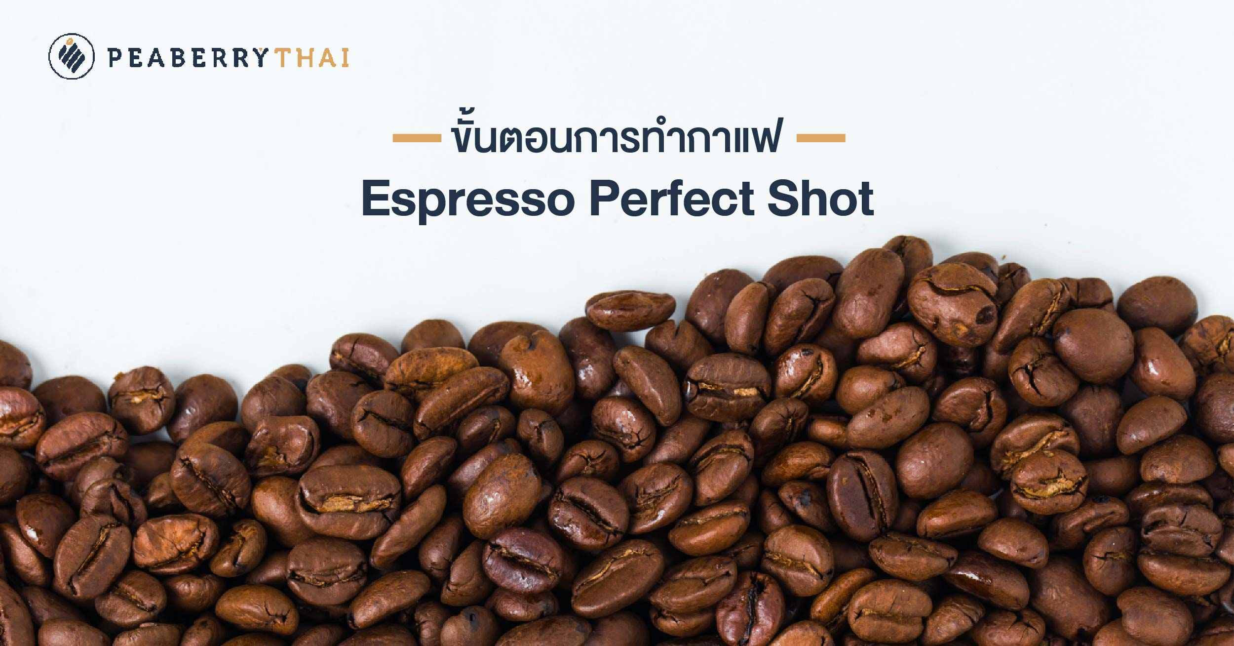 ขั้นตอนการทำกาแฟ Espresso Perfect Shot