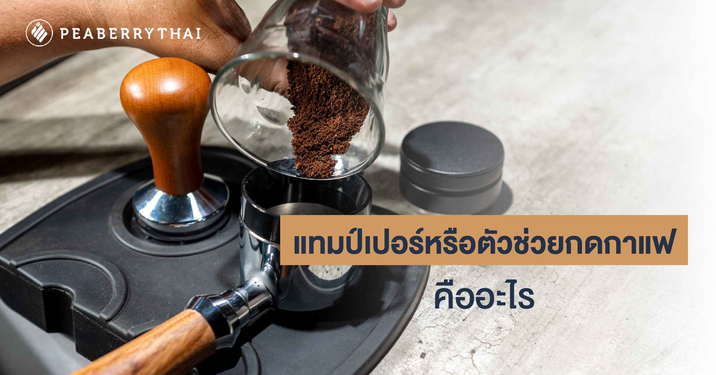 แทมป์เปอร์หรือตัวช่วยกดกาแฟ คืออะไร