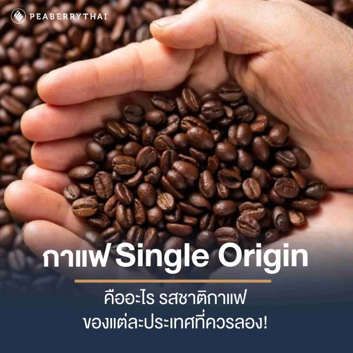 กาแฟ Single Origin คืออะไร รสชาติกาแฟของแต่ละประเทศที่ควรลอง!