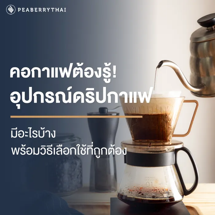 อุปกรณ์ ด ริ ป กาแฟ