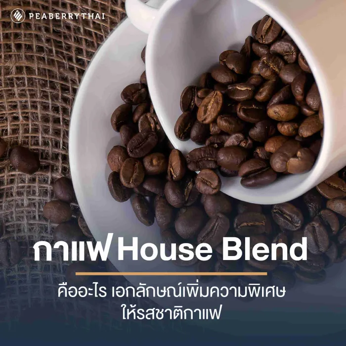 กาแฟ House Blend คืออะไร เอกลักษณ์เพิ่มความพิเศษให้รสชาติกาแฟ