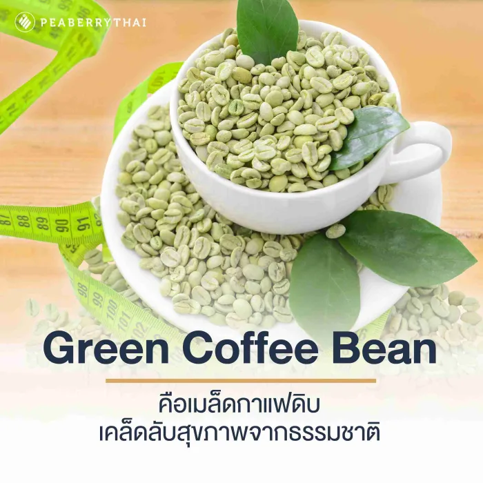 Green Coffee Bean คือเมล็ดกาแฟดิบ เคล็ดลับสุขภาพจากธรรมชาติ