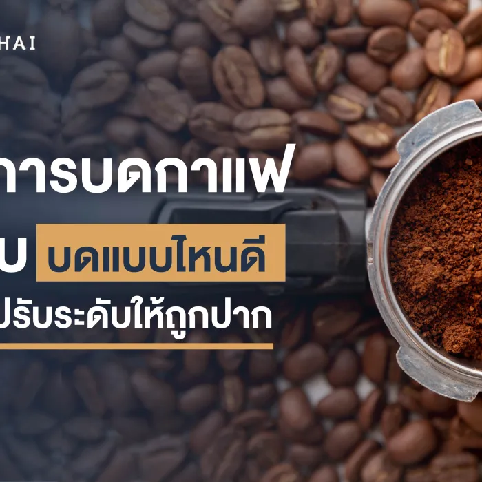 ระดับการบดกาแฟมีกี่แบบ บดแบบไหนดี พร้อมวิธีปรับระดับให้ถูกปาก