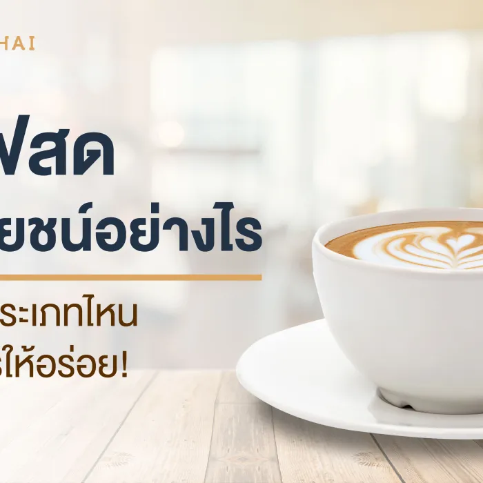 กาแฟสดมีประโยชน์อย่างไร เลือกกินประเภทไหน ชงอย่างไรให้อร่อย!