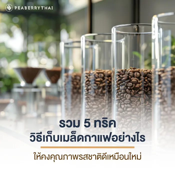 รวม 5 ทริค วิธีเก็บเมล็ดกาแฟอย่างไรให้คงคุณภาพ รสชาติดีเหมือนใหม่