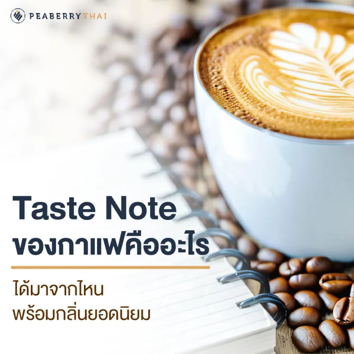 taste note กาแฟ