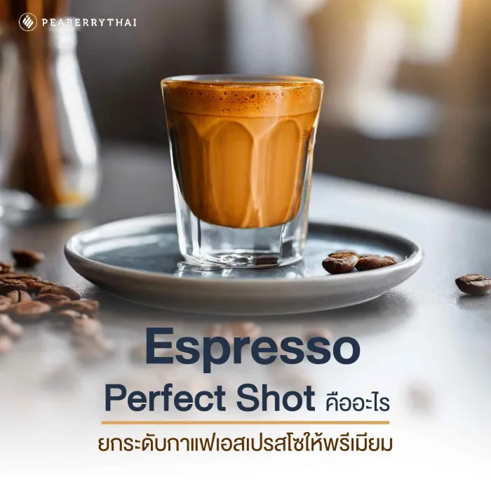 Espresso Perfect Shot คืออะไร ยกระดับกาแฟเอสเปรสโซให้พรีเมียม