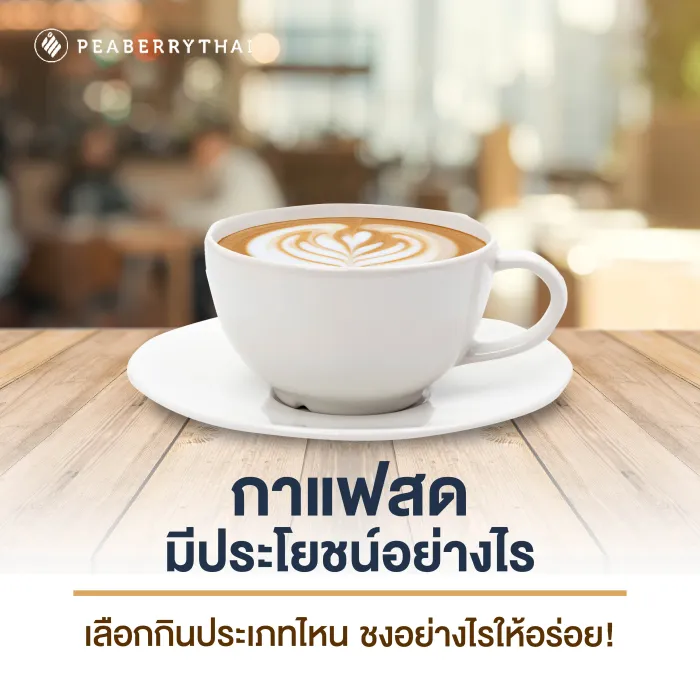 กาแฟสดมีประโยชน์อย่างไร เลือกกินประเภทไหน ชงอย่างไรให้อร่อย!