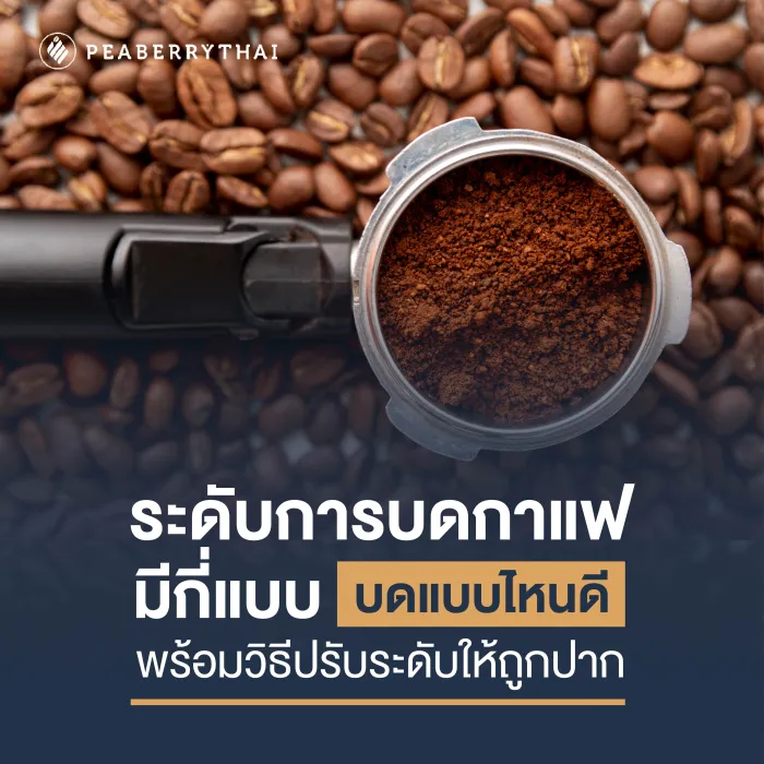 ระดับการบดกาแฟ