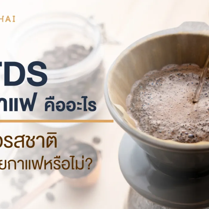 ค่า TDS น้ำชงกาแฟ คืออะไร ส่งผลต่อรสชาติความอร่อยกาแฟหรือไม่?