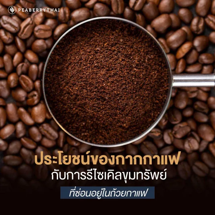 ประโยชน์ของกากกาแฟ กับการรีไซเคิลขุมทรัพย์ที่ซ่อนอยู่ในถ้วยกาแฟ