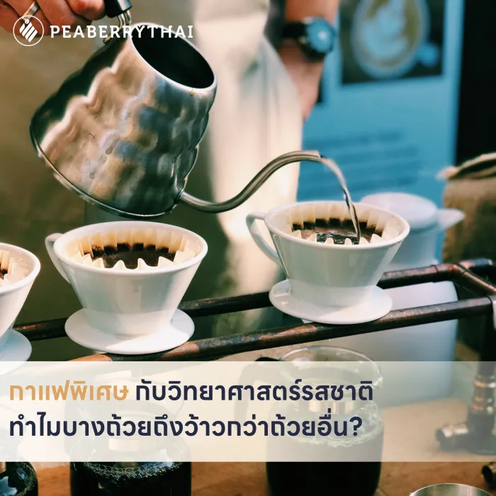 กาแฟพิเศษ กับวิทยาศาสตร์รสชาติ ทำไมบางถ้วยถึงว้าวกว่าถ้วยอื่น