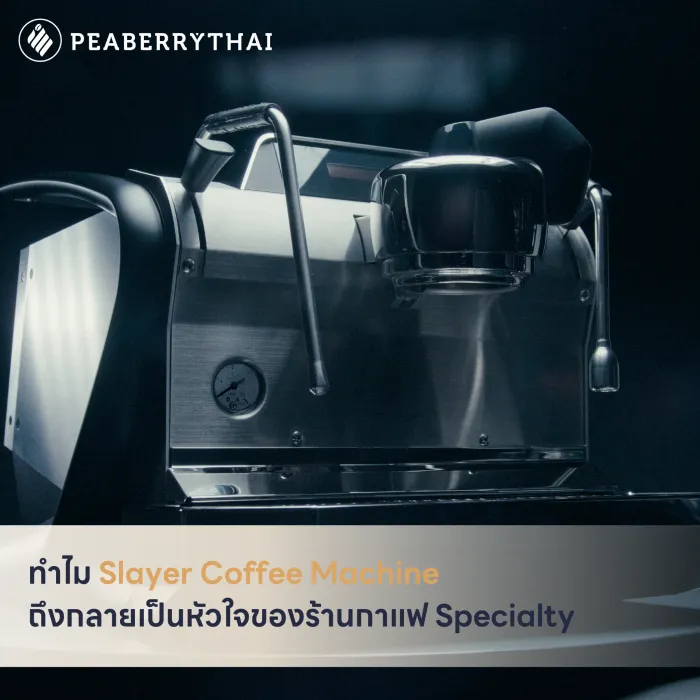ทำไม Slayer Coffee Machine ถึงกลายเป็นหัวใจของร้านกาแฟ Specialty