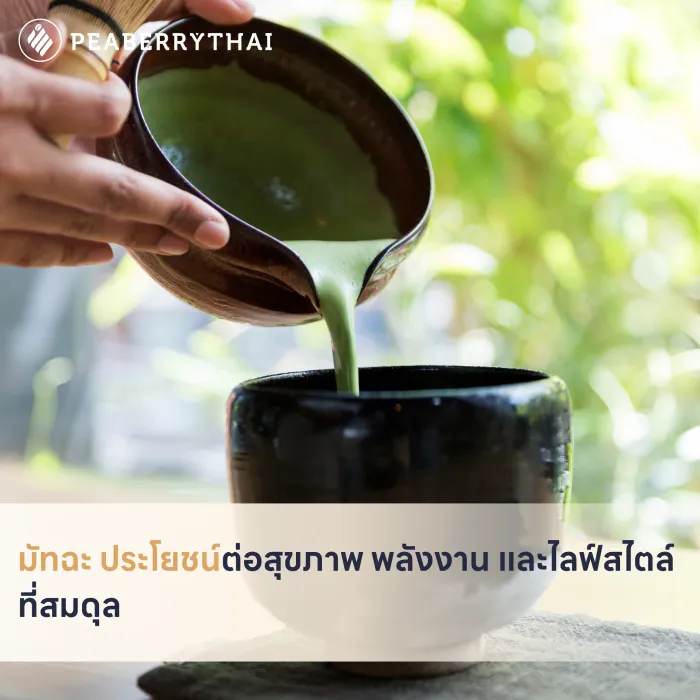 มัทฉะ ประโยชน์ต่อสุขภาพ พลังงาน และไลฟ์สไตล์ที่สมดุล