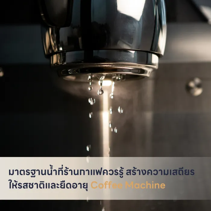 มาตรฐานน้ำที่ร้านกาแฟควรรู้ สร้างความเสถียรให้รสชาติและยืดอายุ Coffee Machine