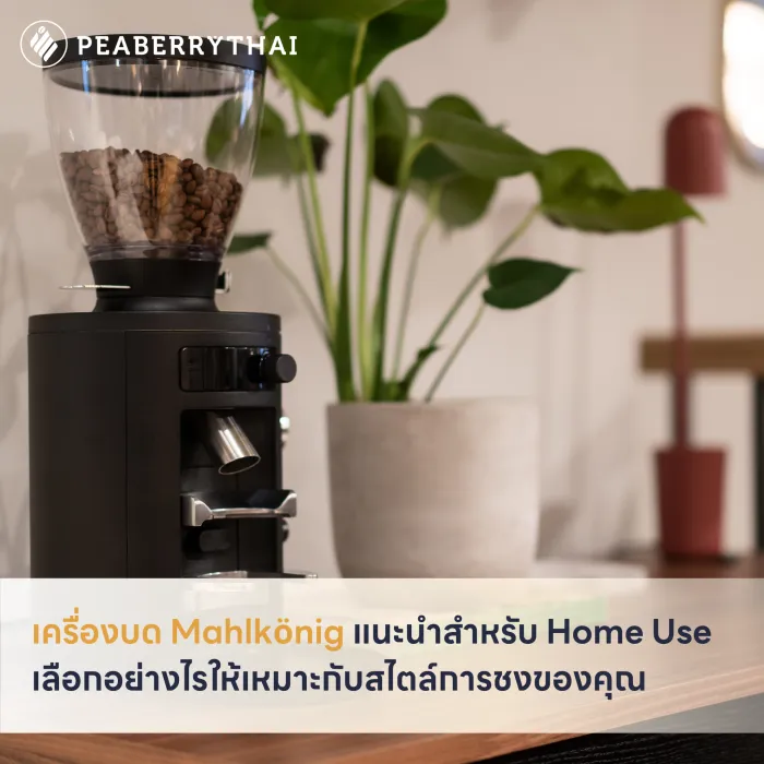เครื่องบด Mahlkönig แนะนำสำหรับ Home Use เลือกอย่างไรให้เหมาะกับสไตล์การชงของคุณ