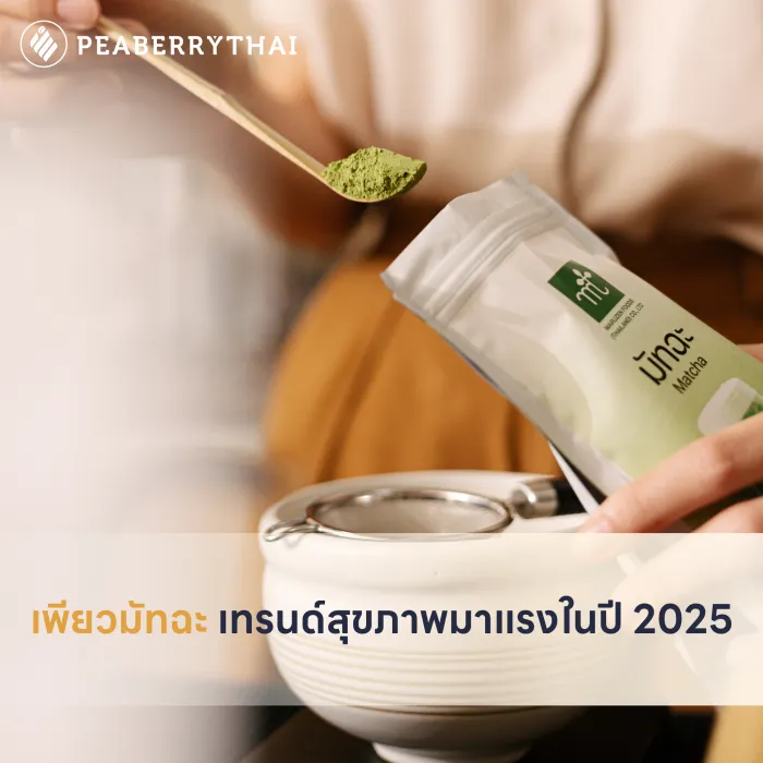 เพียวมัทฉะ เทรนด์สุขภาพมาแรงในปี 2025