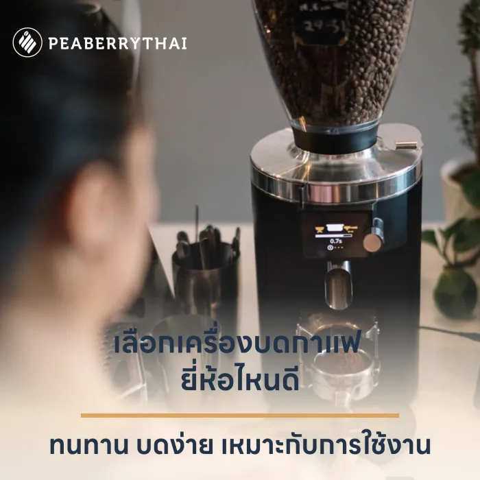 เครื่อง บด กาแฟ ยี่ห้อไหนดี 