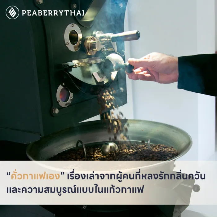 “คั่วกาแฟเอง” เรื่องเล่าจากผู้คนที่หลงรักกลิ่นควันและความสมบูรณ์แบบในแก้วกาแฟ