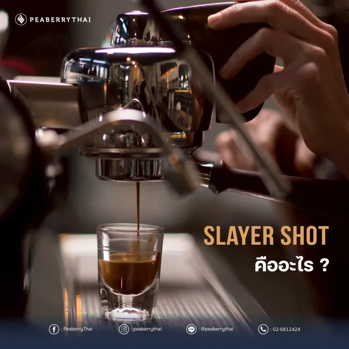 Slayer Shot คืออะไร_ ทำไมสาย Specialty Coffee ต้องลอง