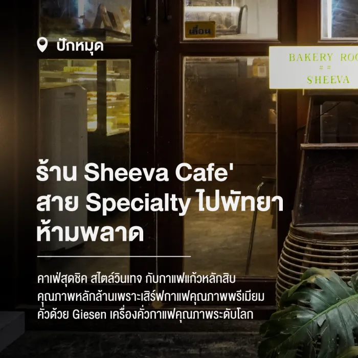 Sheeva Cafe คาเฟ่ที่สาย Specialty ตัวจริงที่ใช้ Slayer Espresso และเครื่องคั่วกาแฟ Giesen ไปพัทยา ต้องห้ามพลาด